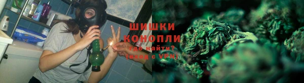 гидропоника Аркадак