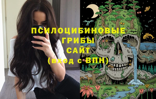 альфа пвп Корсаков