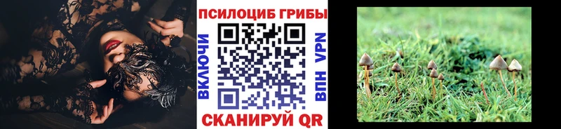 ОМГ ОМГ онион  что такое   Белорецк  Псилоцибиновые грибы Psilocybine cubensis 